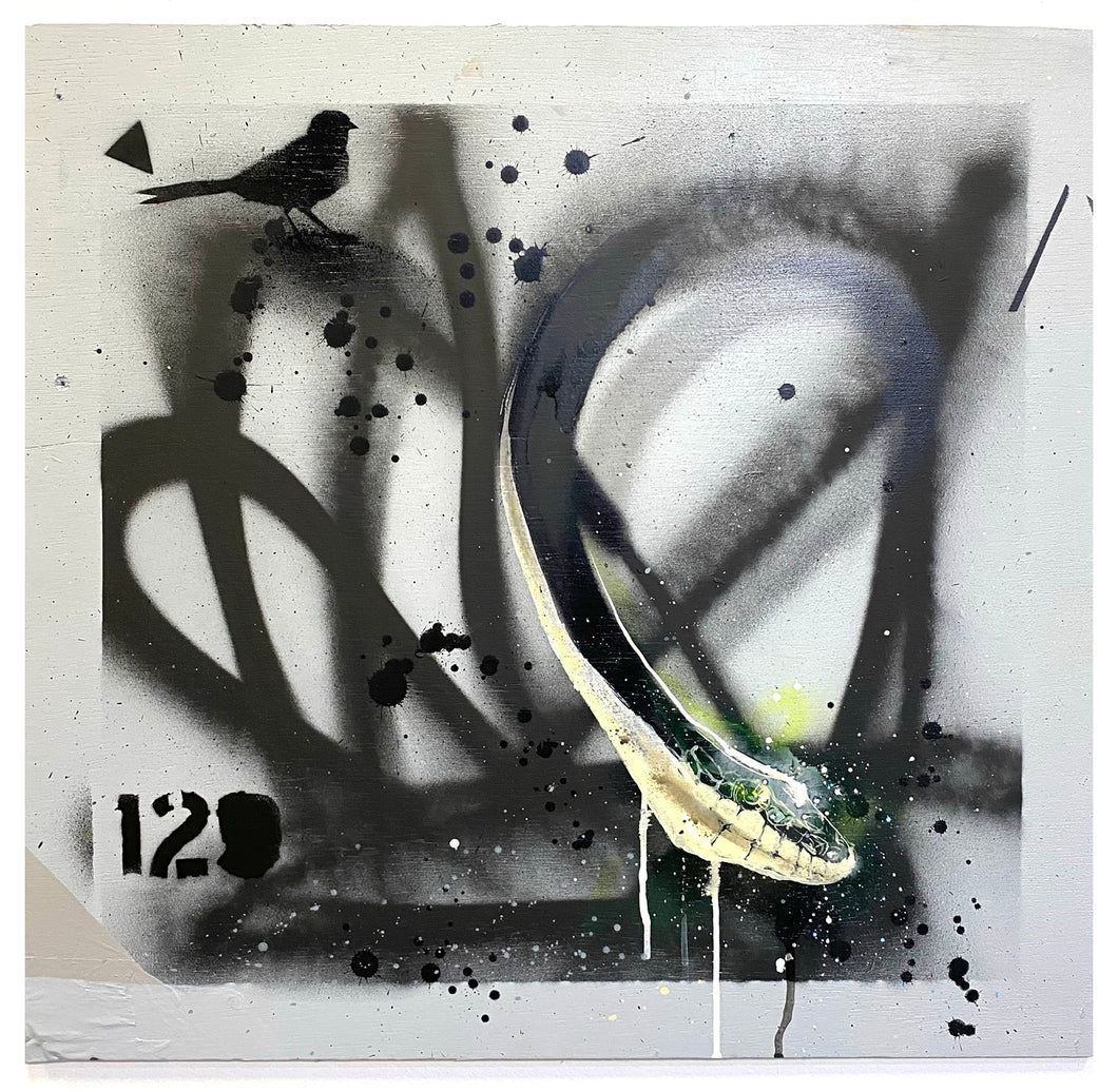 Snake Flow by Force129