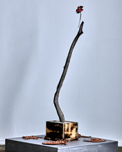 Load image into Gallery viewer, Beyond the Fires and Tribulations by Valentino Loyola
