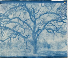 Load image into Gallery viewer, a summer's day by Sarah Loyola

