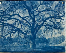 Load image into Gallery viewer, a summer's day by Sarah Loyola
