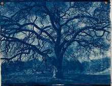Load image into Gallery viewer, a summer's day by Sarah Loyola
