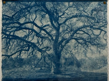 Load image into Gallery viewer, a summer's day by Sarah Loyola
